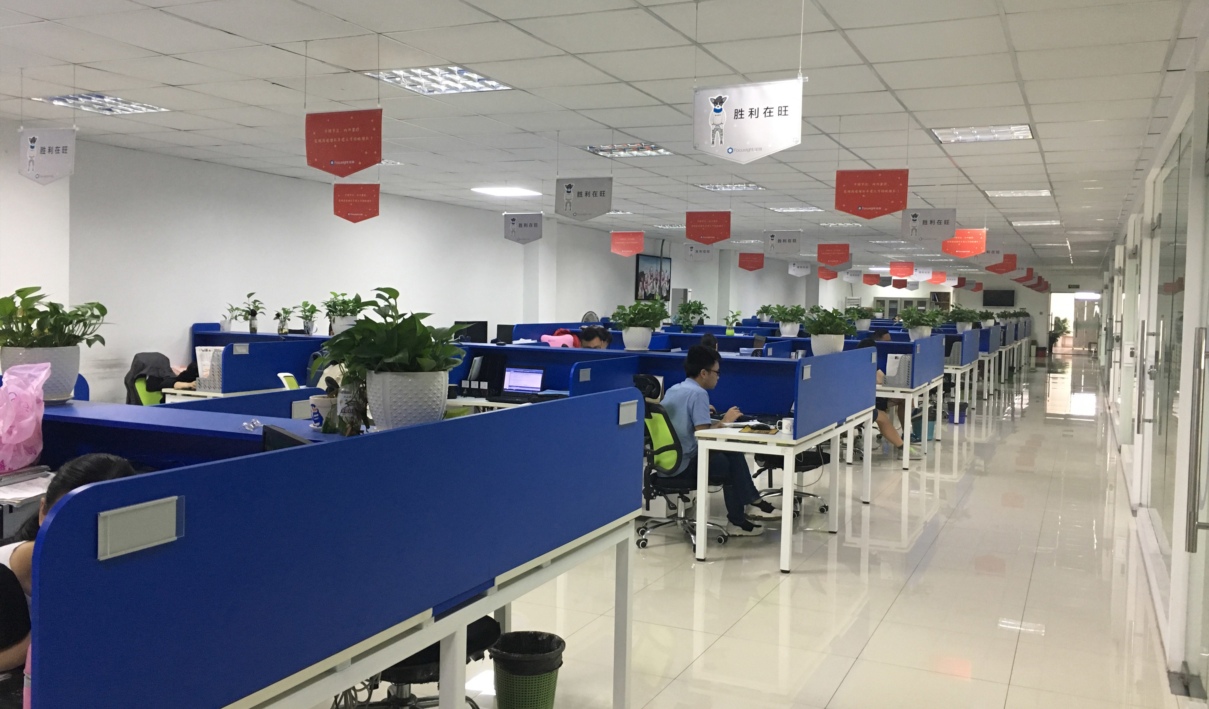Chine Focusight Technology Co.,Ltd Profil de la société