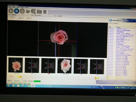 Le tri de fleur a automatisé la machine d'inspection de Focusight