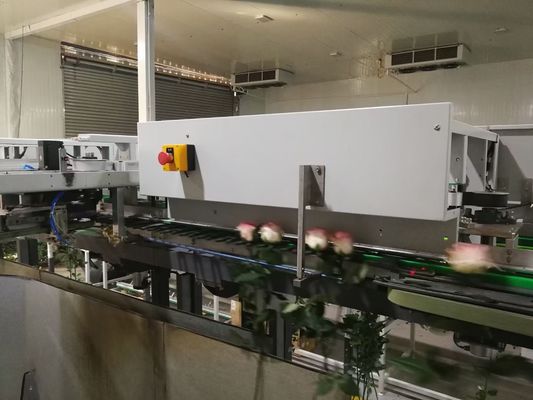 Équipement d'inspection de vision de détection de fleur complètement automatique
