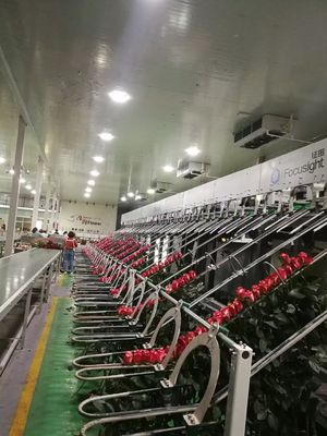 Le tri de fleur a automatisé la machine d'inspection de Focusight